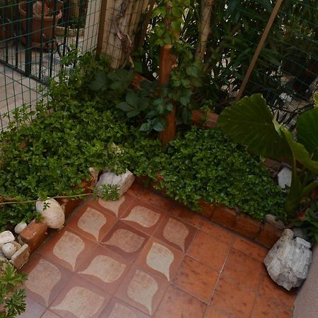 Mediterraneo 雷焦卡拉布里亚 外观 照片
